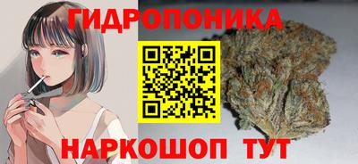 дурь Гатчина