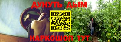 дурь Гатчина