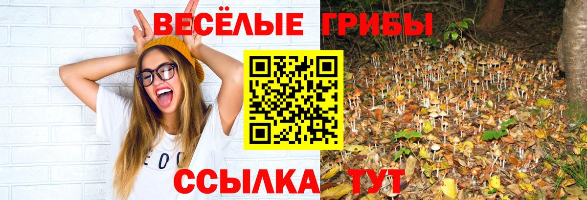 Галлюциногенные грибы прущие грибы  Псилоцибиновые грибы Psilocybine cubensis  Кулебаки  где купить наркотик  Вход с VPN 